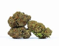 SOLACE GROWN - SHERB CREAM PIE - HOUSE - 1/2 OZ